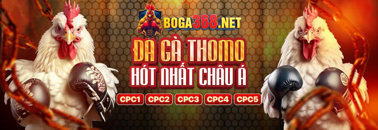 Đá Gà Trực Tuyến Hấp Dẫn tại god66 link vào
